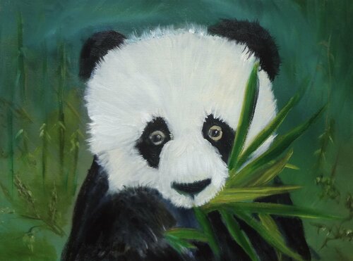 Panda in Bamboo di Jenny Lee, Pittura in vendita su Singulart
