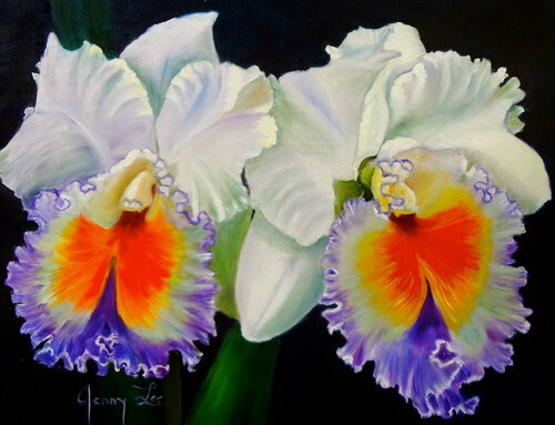 Double Orchids Jenny Lee