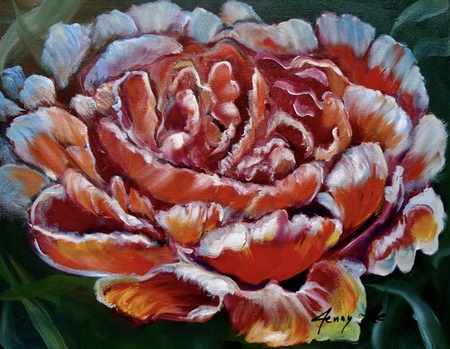 Red Peony 11 van Jenny Lee, Schilderij te koop op Singulart