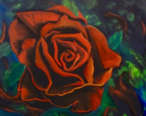A Blushing Red rose Jenny Lee
