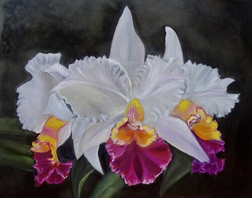 Soft White Orchids van Jenny Lee, Schilderij te koop op Singulart