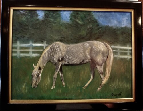 A Horse Called Meadow von Jenny Lee, Malerei kaufen auf Singulart
