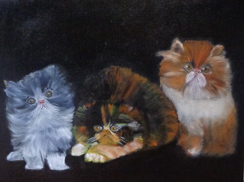 Three Cute Kittens von Jenny Lee, Malerei kaufen auf Singulart