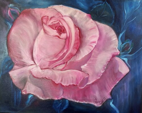 Romantic Pink Rose van Jenny Lee, Schilderij te koop op Singulart