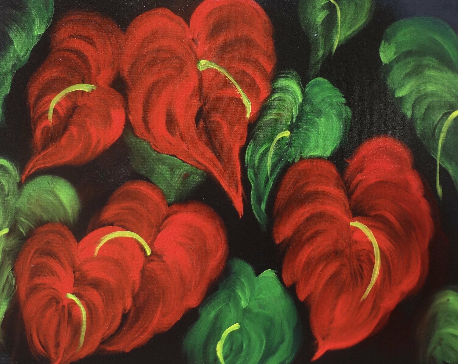 Anthuriums Galore Jenny Lee