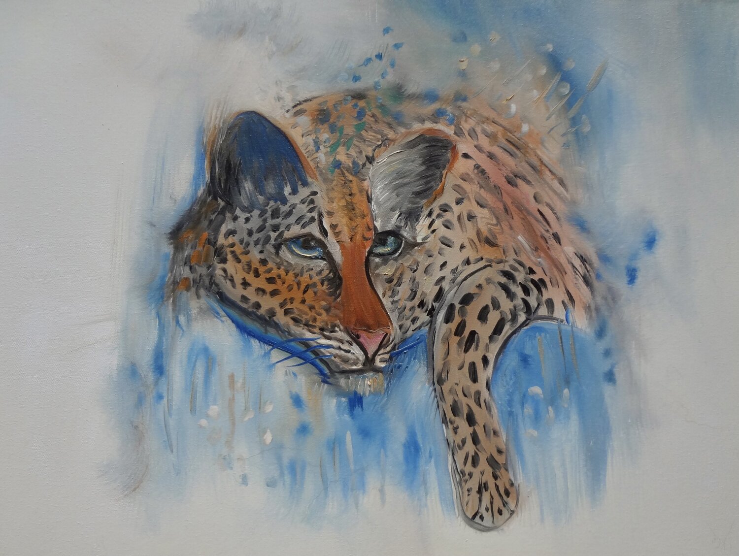 Leopard Jenny Lee