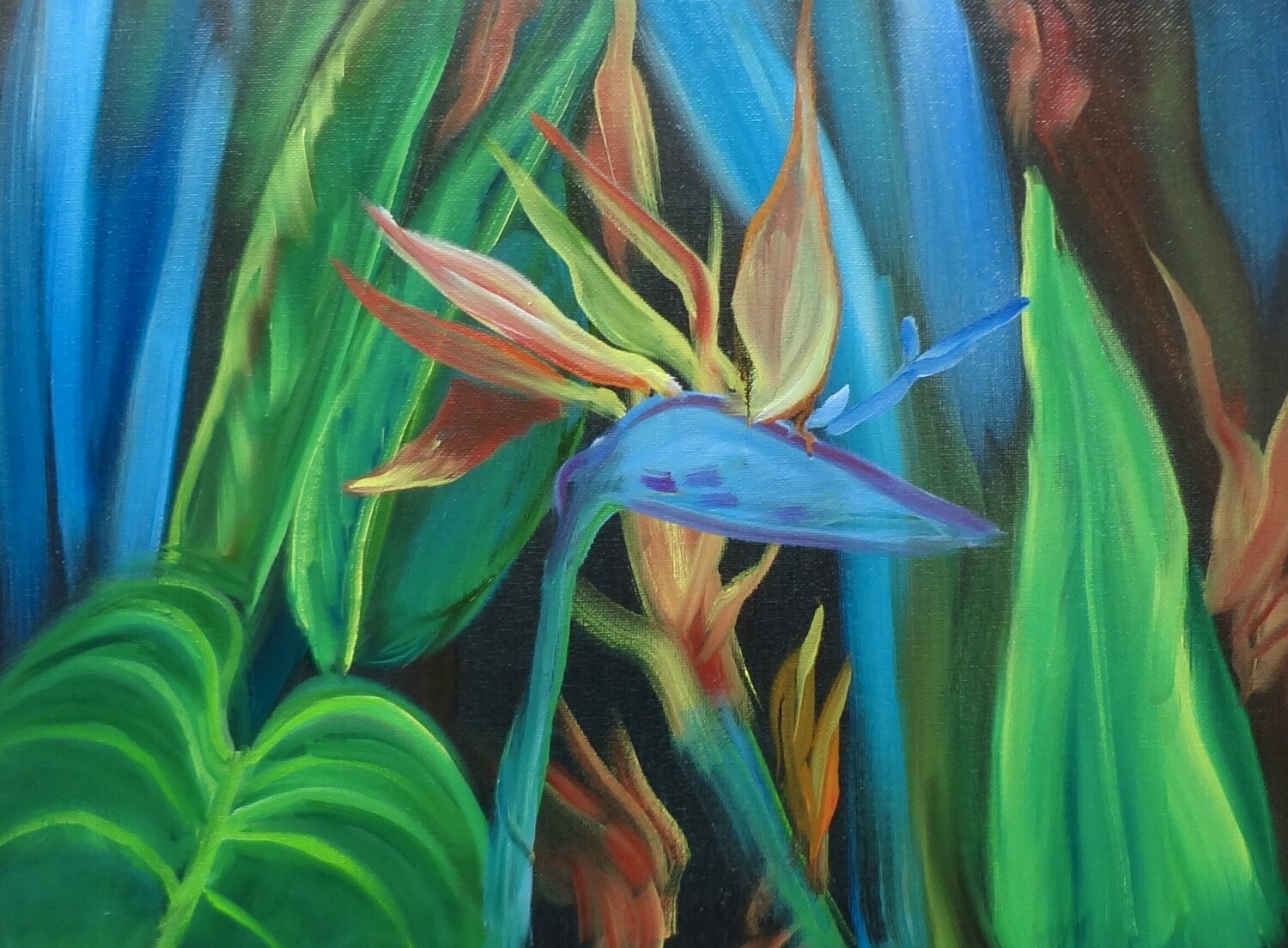 Bird of Paradise Jenny Lee