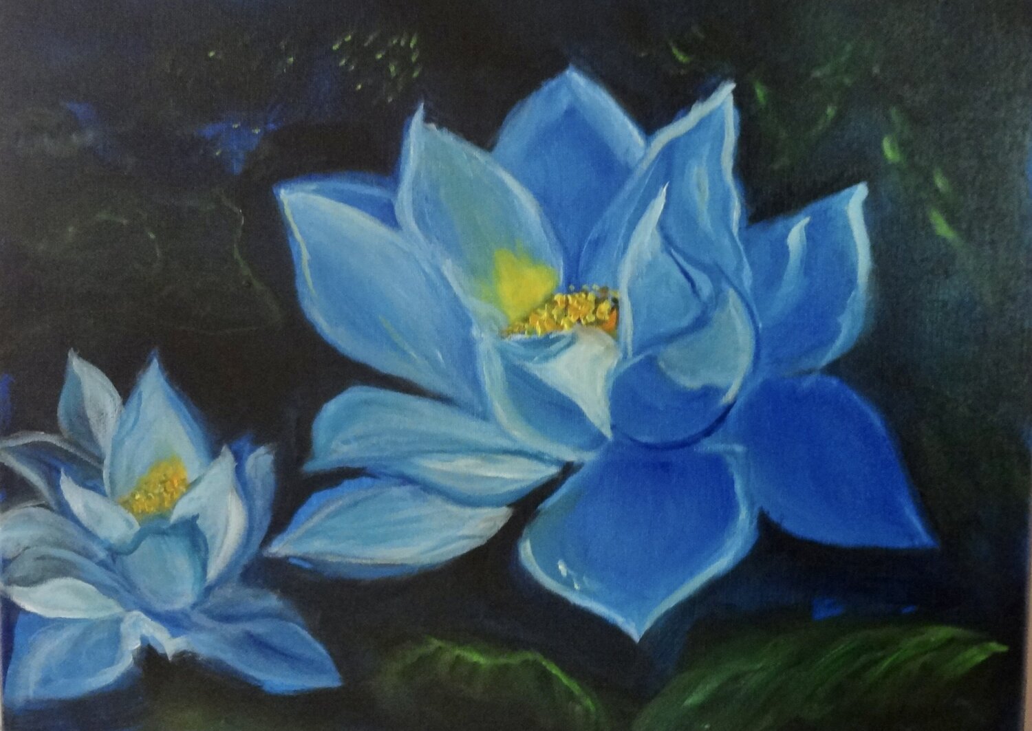 Blue Lotus Blossom Jenny Lee