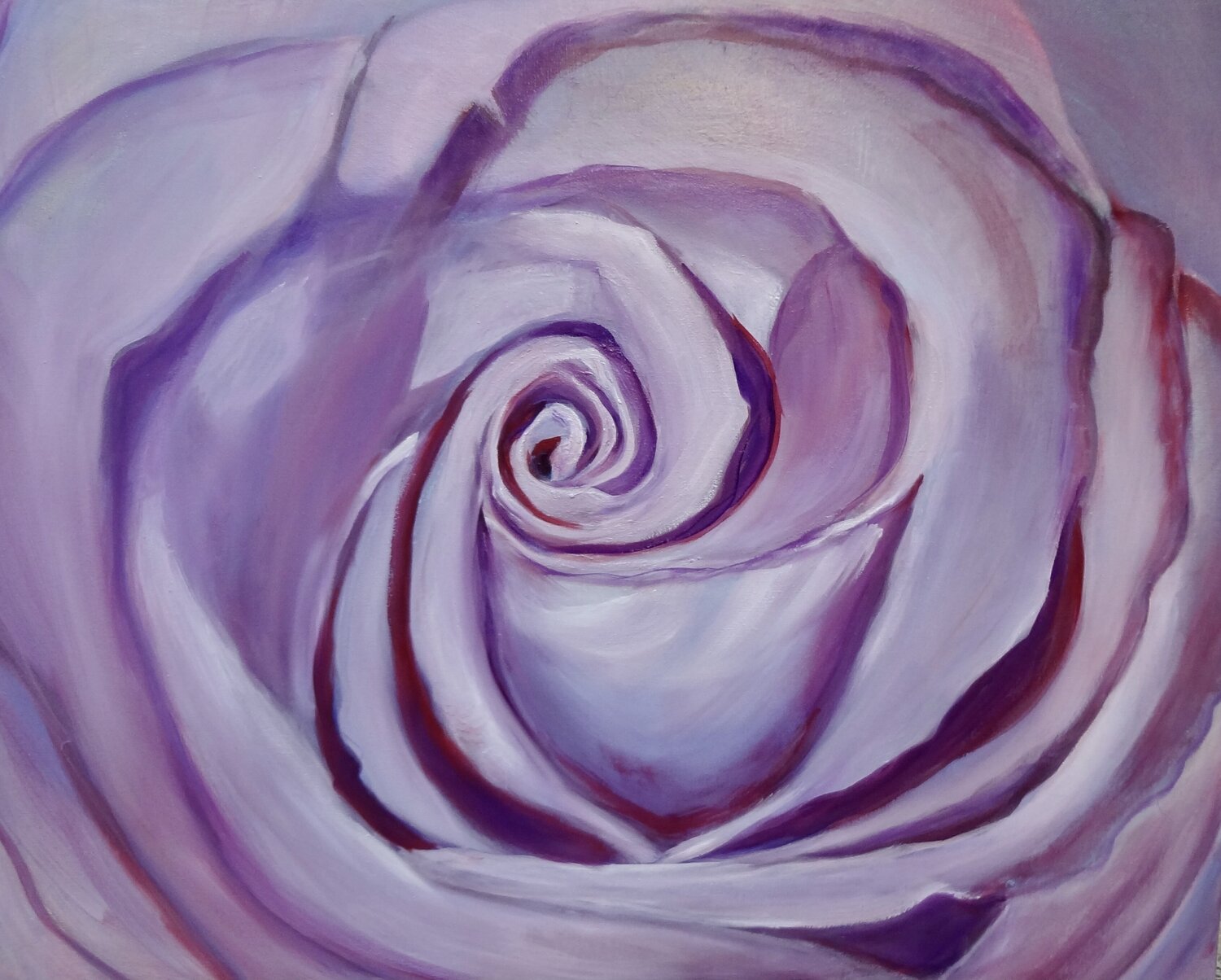 Burgundy Rose Jenny Lee