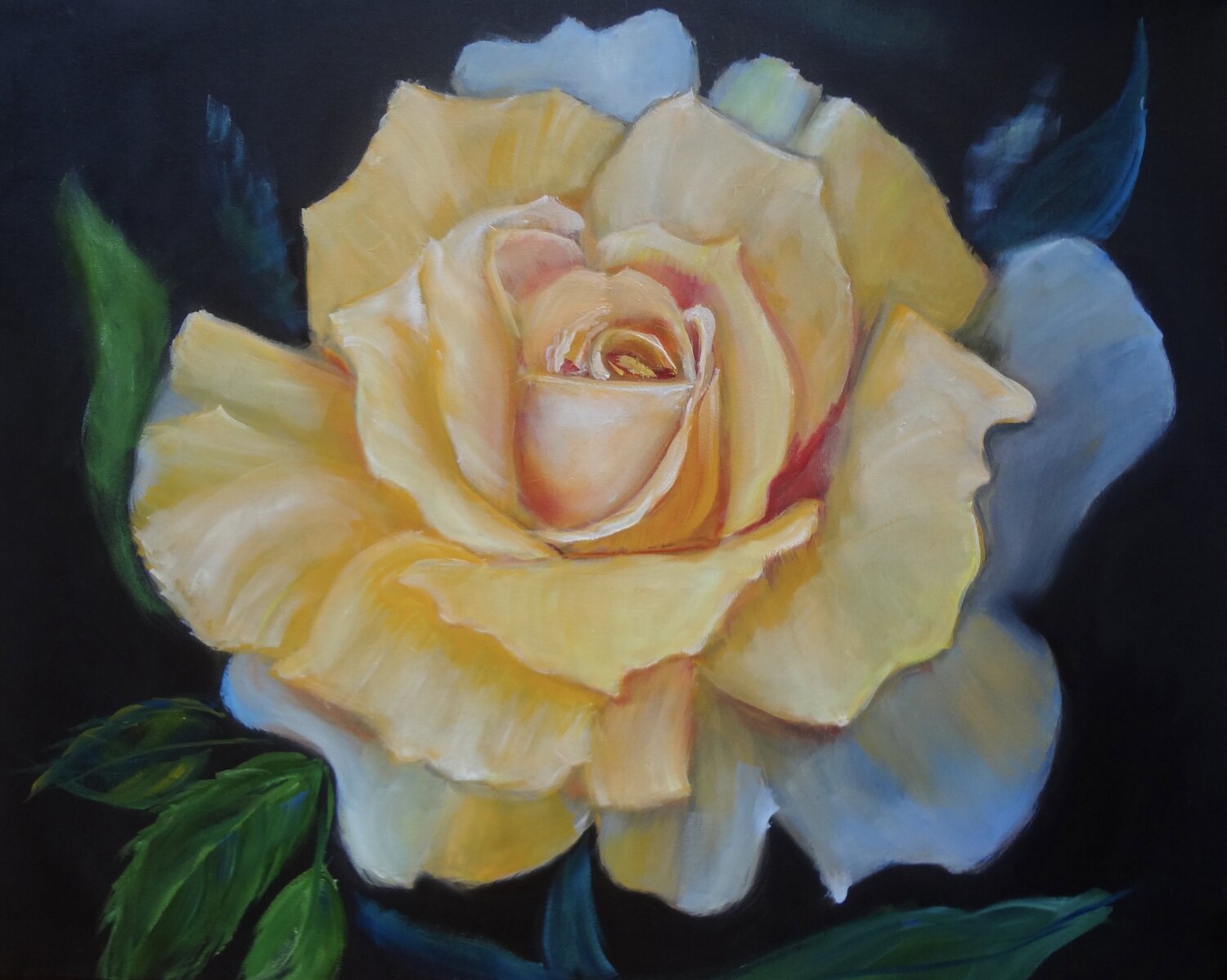 Soft Rose Petals Jenny Lee