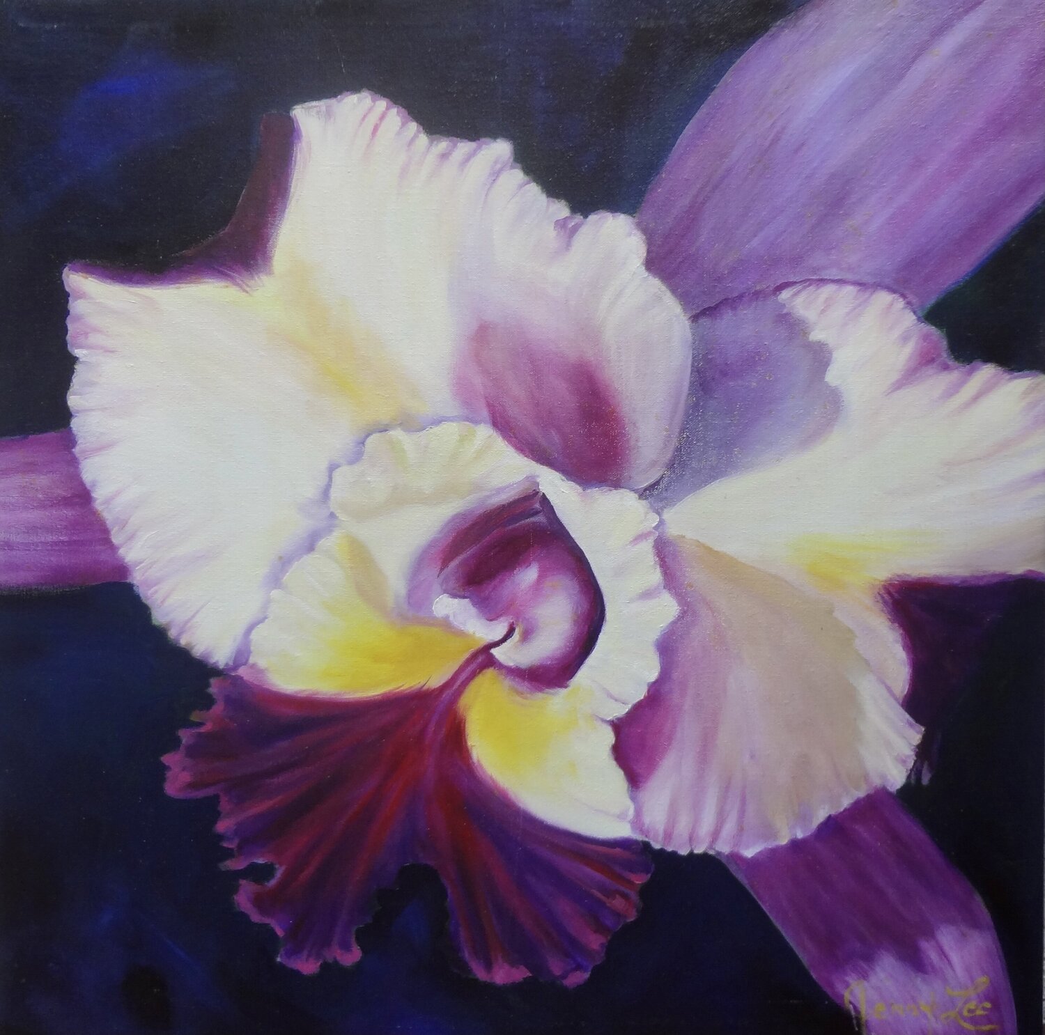 Violet Cattleya Orchid Jenny Lee