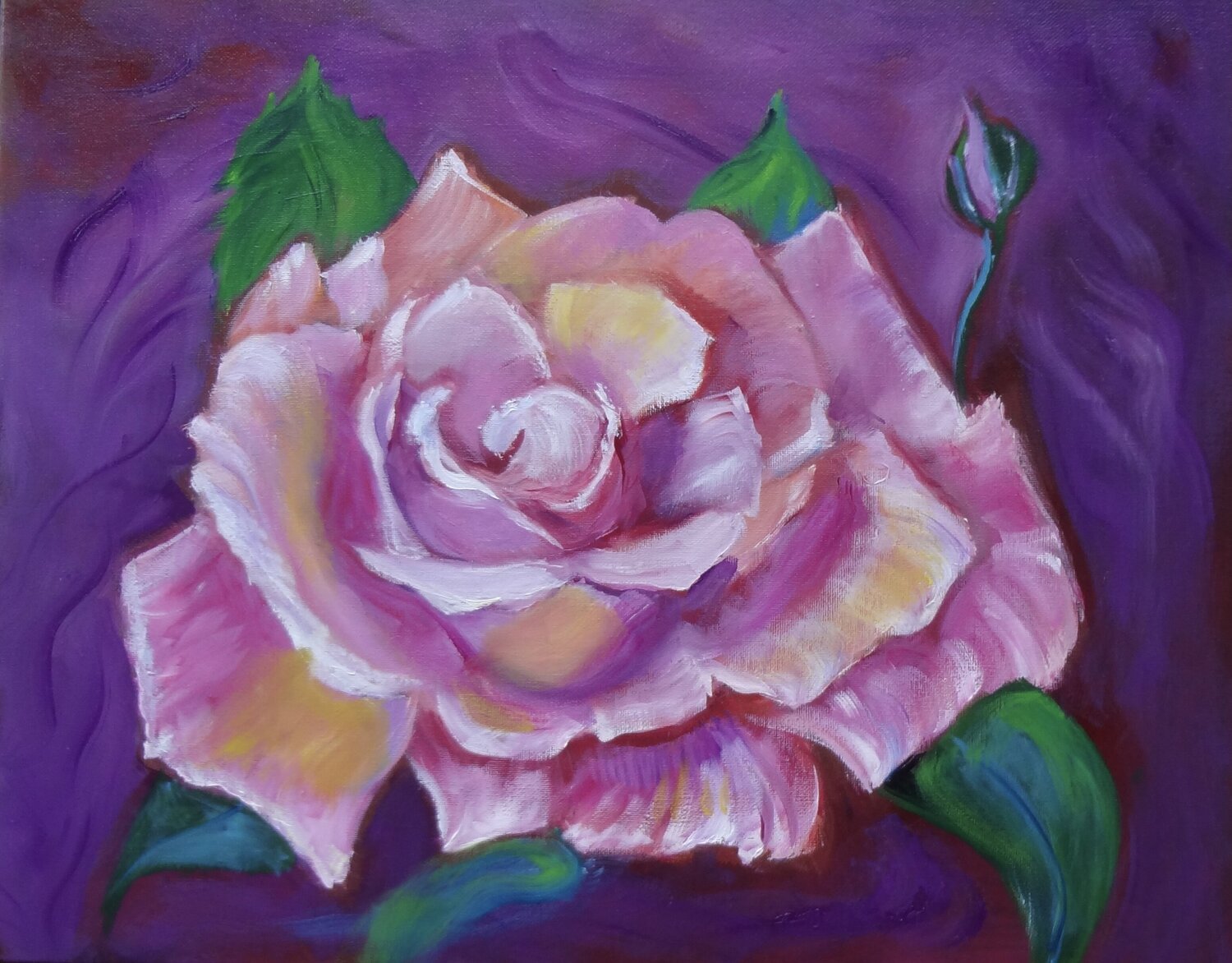 Most Glorious Pink Rose Jenny Lee