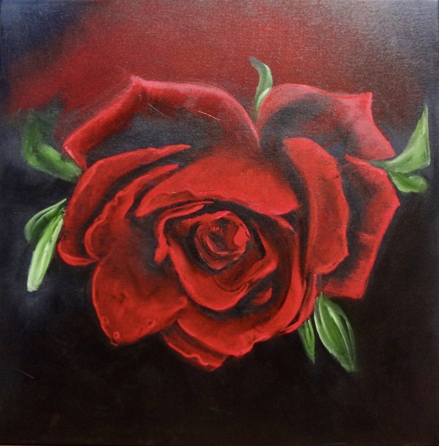 Deep Red Velvety Rose Jenny Lee