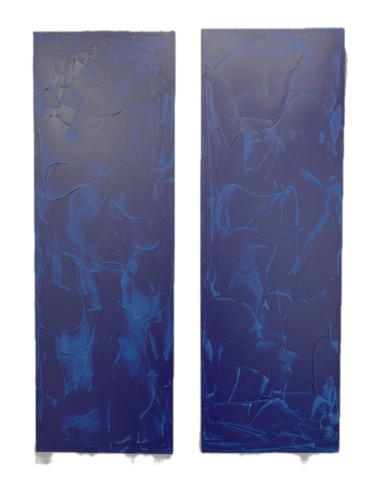 EXVIE #5/EXVIE #6 DIPTYCH de Jennifer Tymowska, Pintura a la venta en Singulart