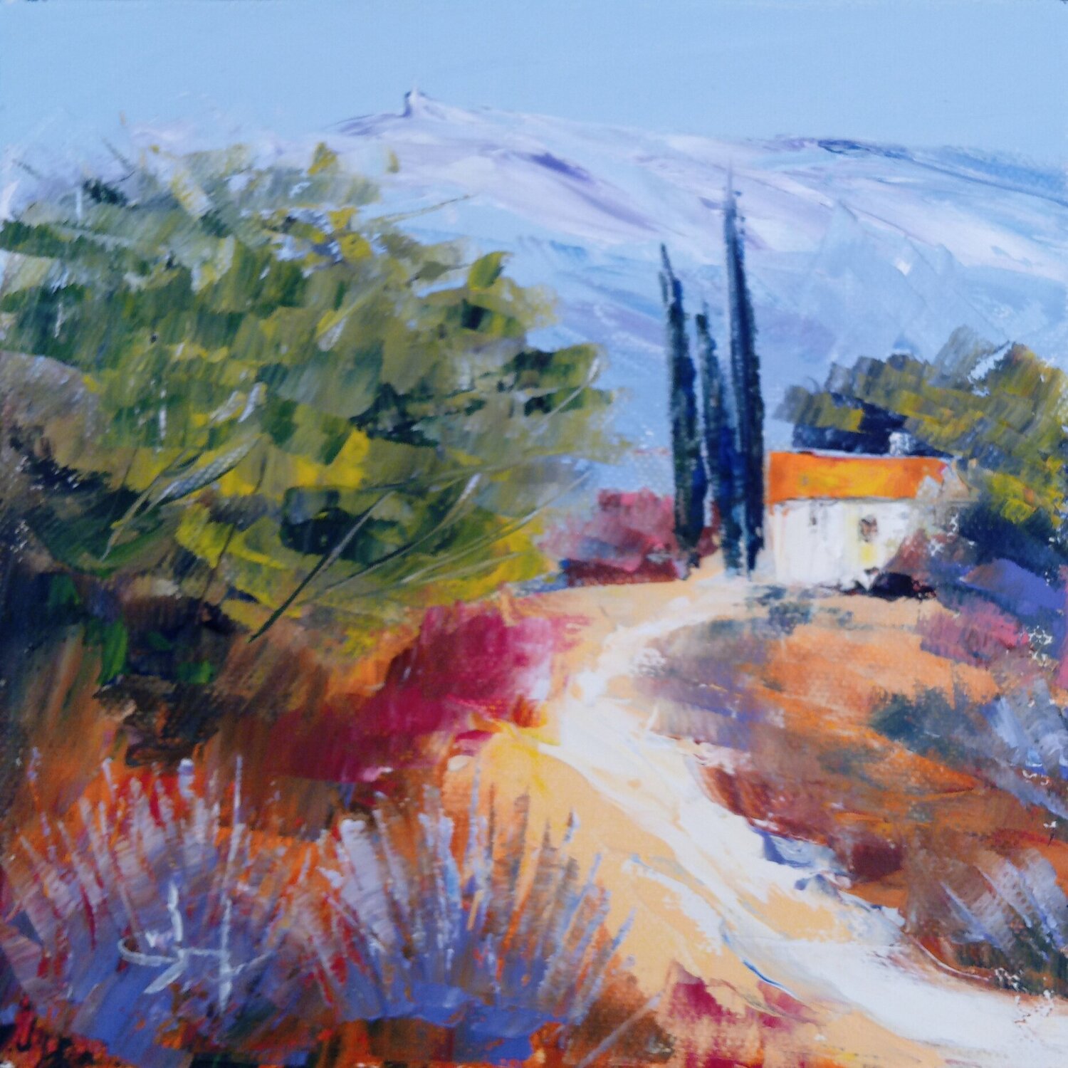 Petite maison près du Ventoux Véronique Degabriel