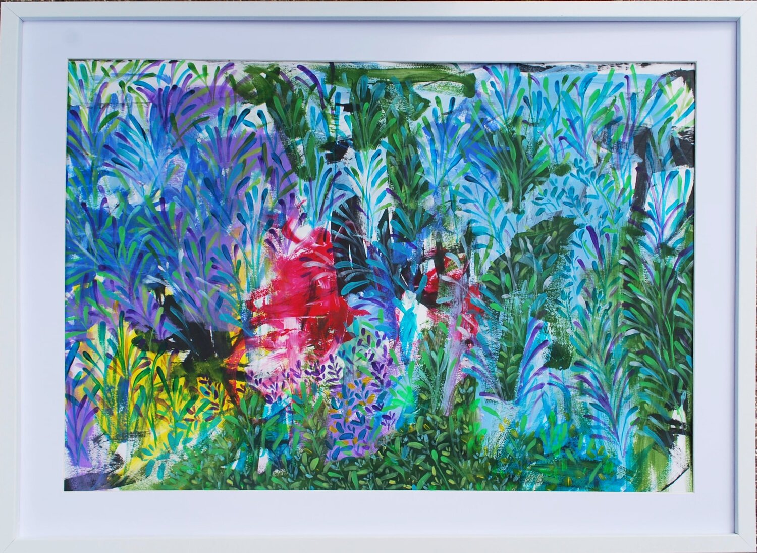 Forest walks Aasiri Wickremage