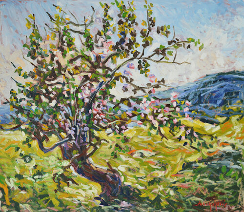 Le vieil olivier von Patrick MARIE, Malerei kaufen auf Singulart