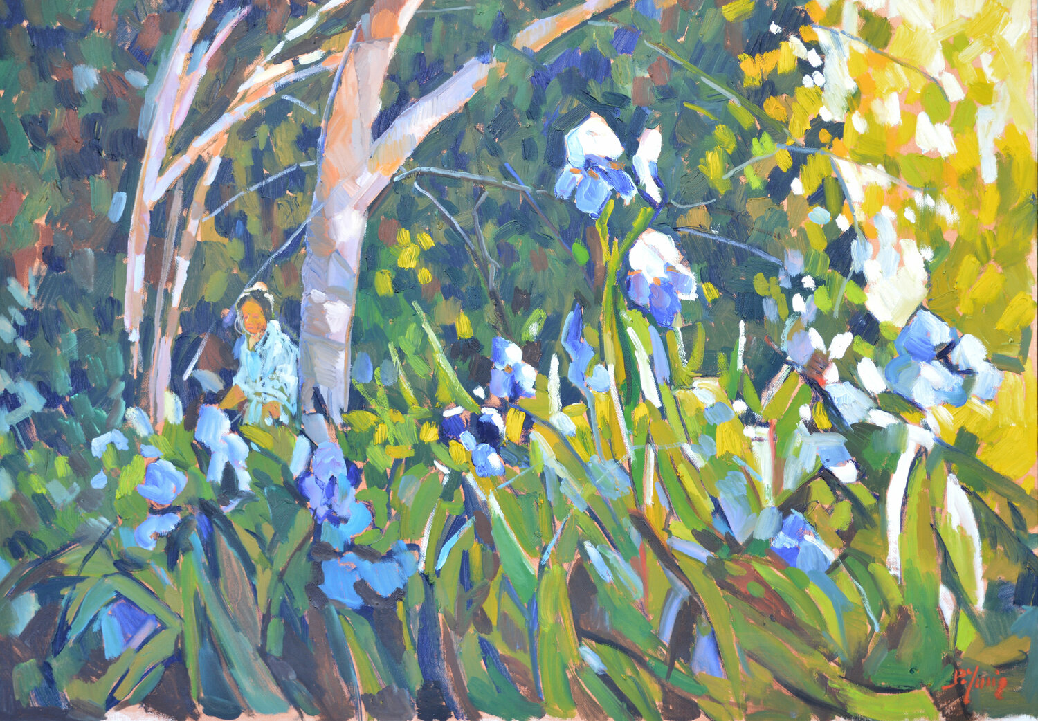 Les iris bleus Patrick MARIE