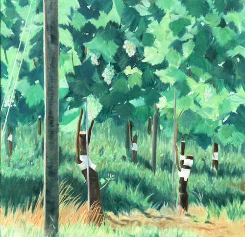 Weinberg di Gabriele Fuchs, Pittura in vendita su Singulart