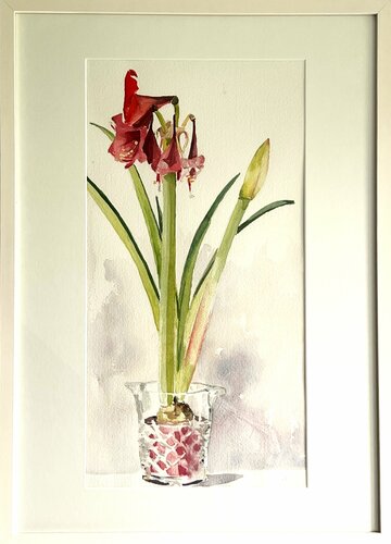 Amaryllis 4 van Gabriele Fuchs, Schilderij te koop op Singulart