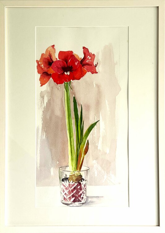 Amaryllis 2 Gabriele Fuchs