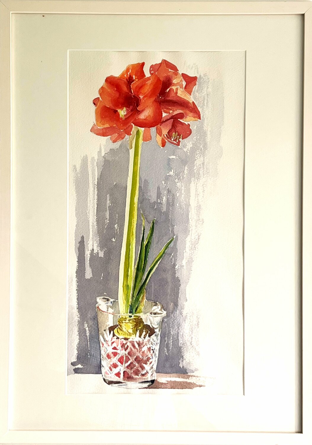 Amaryllis 1 Gabriele Fuchs