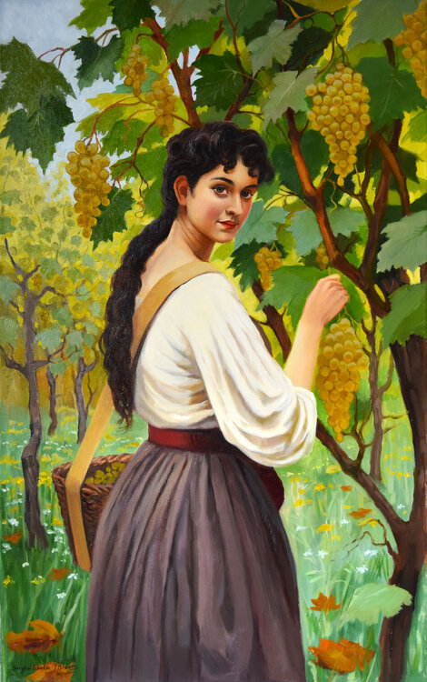 Grape picker Serghei Ghetiu