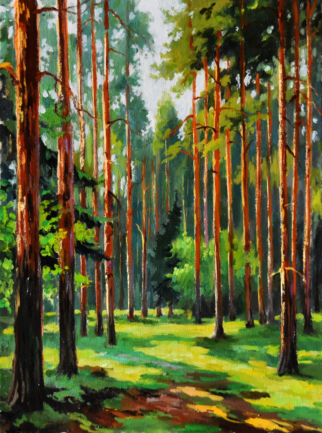 A sunny day in the pine forest Serghei Ghetiu