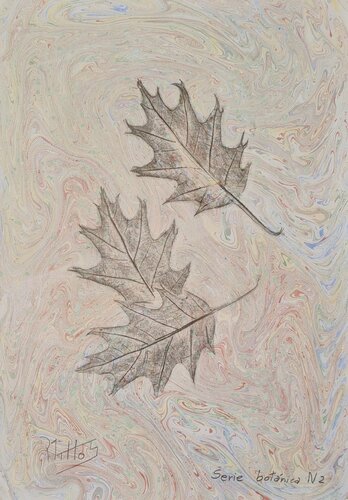 Hojas de roble: Serie Botánica N2 (Ebru y grafito) by Rosario De Mattos, 종이 for Sale on Singulart