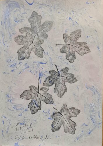 Hojas de árbol: Serie Botánica N 4 by Rosario De Mattos, Work on Paper for Sale on Singulart