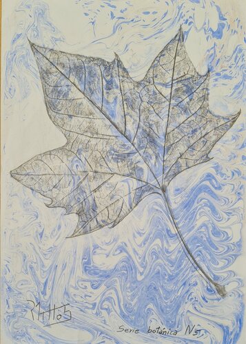 Serie Botánica N 5 by Rosario De Mattos, Work on Paper for Sale on Singulart