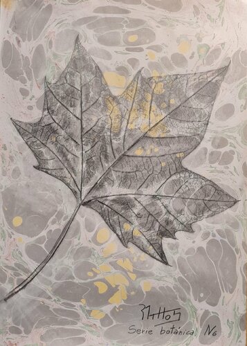 Hoja de plátano: Serie Botánica N 6 van Rosario De Mattos, Werk op papier te koop op Singulart