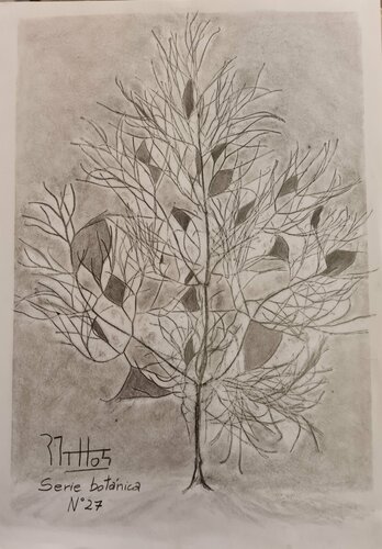 Árbol: Serie Botánica N25 by Rosario De Mattos, 종이 for Sale on Singulart