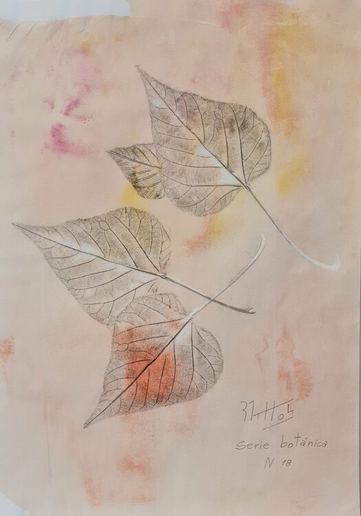 Hojas de árbol: Serie Botánica N 18 Rosario De Mattos