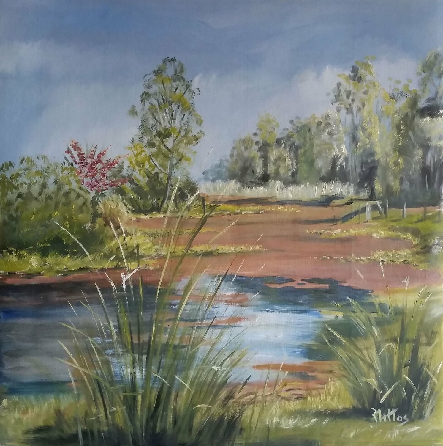 Tajamar en primavera Rosario De Mattos