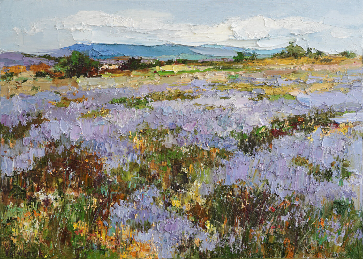 lavender field Anastasiya Valiulina