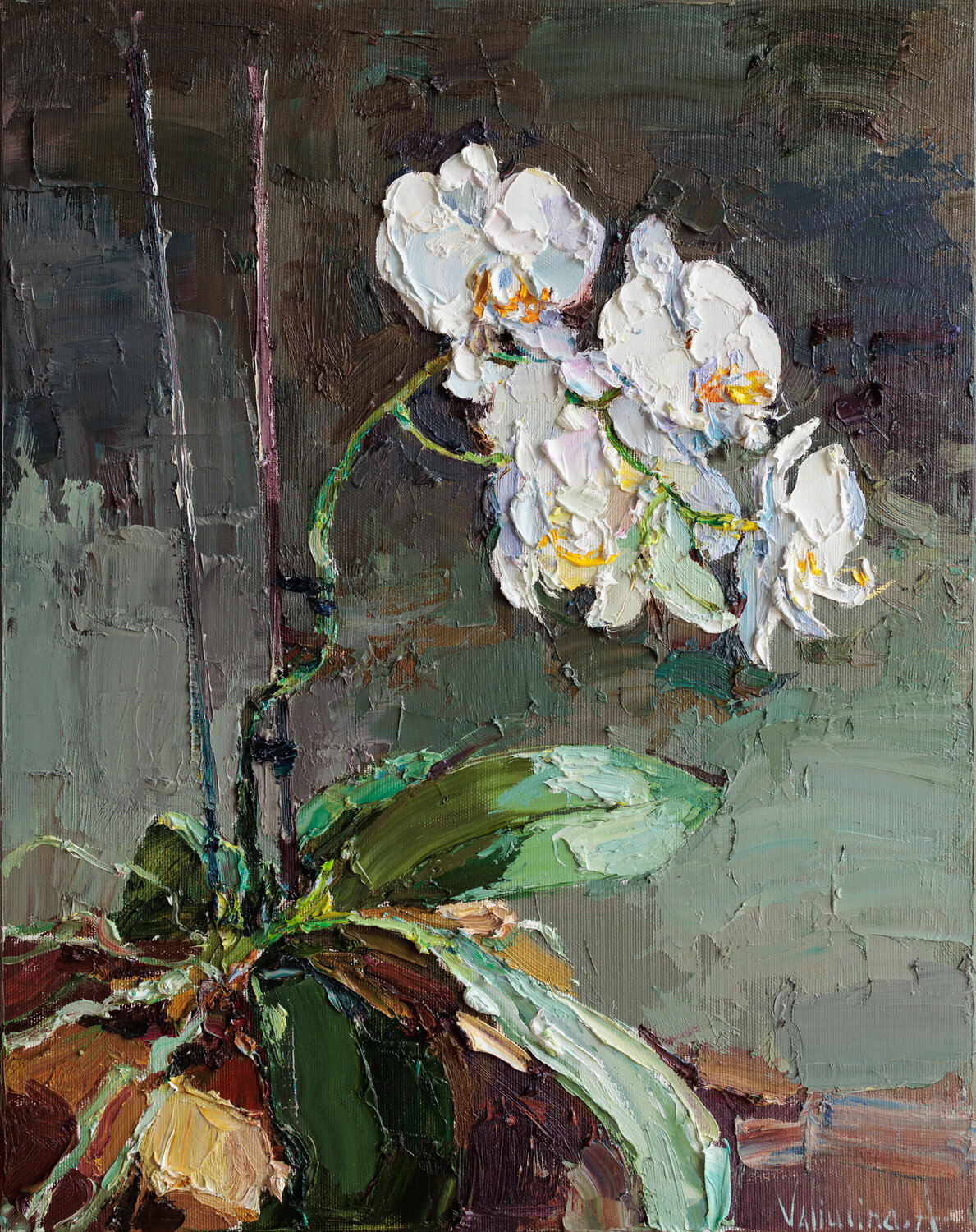 Blooming Orchid Anastasiya Valiulina