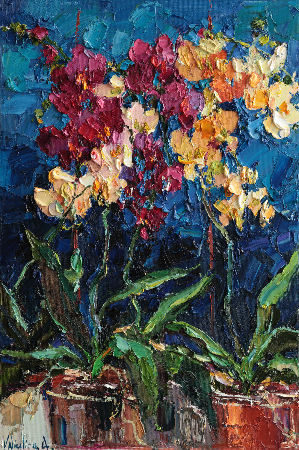 Orchids in Bloom Anastasiya Valiulina