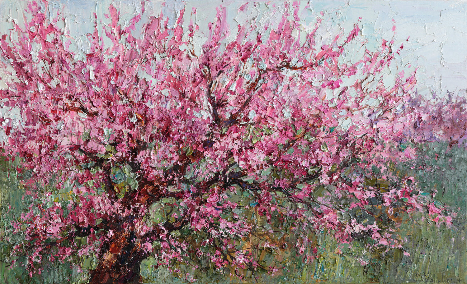 Blooming Peach Tree Anastasiya Valiulina