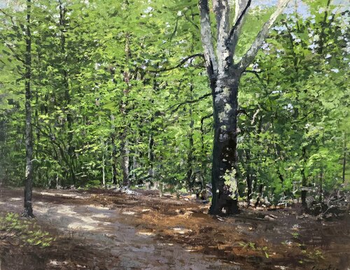 Carolina Woods par Michael Compton, Peinture en vente sur Singulart