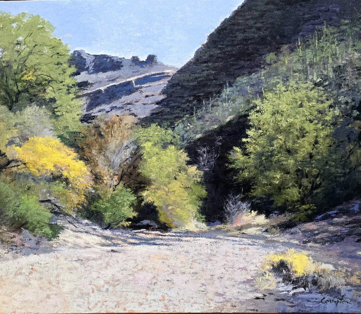 Arizona Landscape Michael Compton