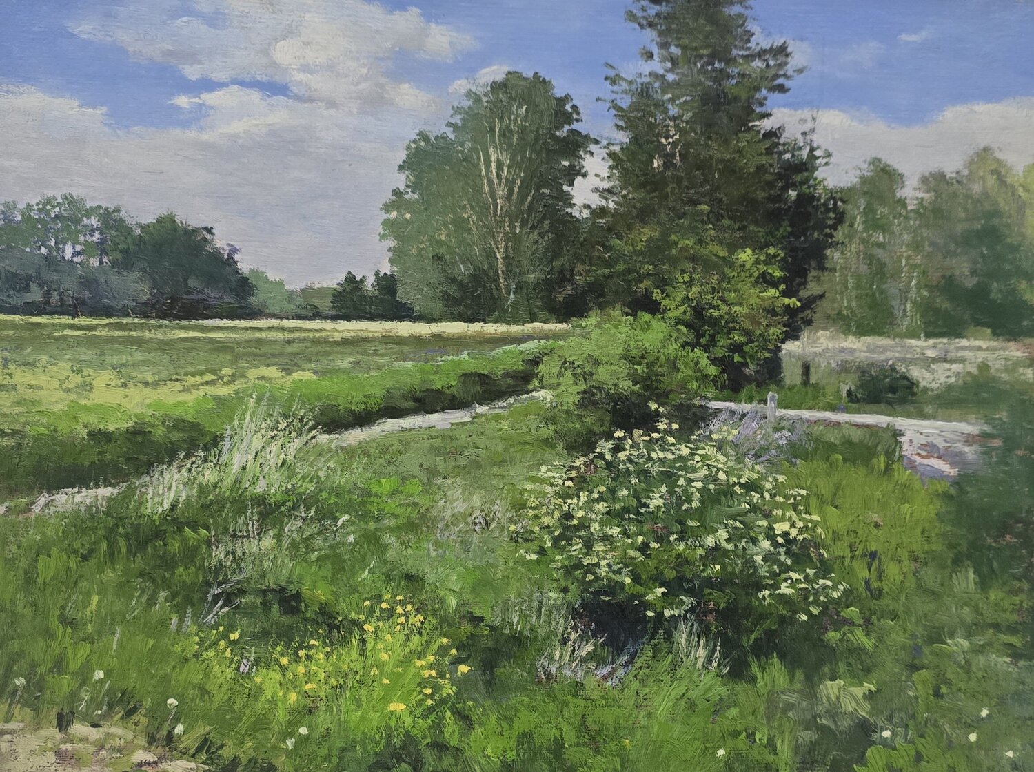 Path Through the Fields Michael Compton