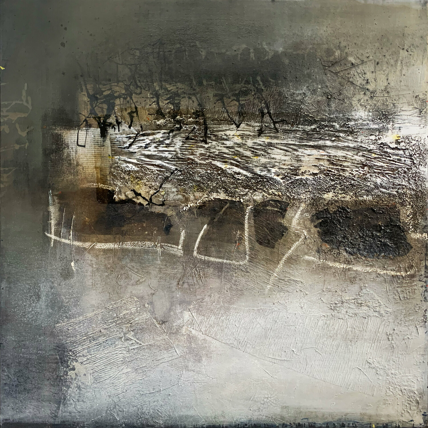 Driftwood Carole Kohler