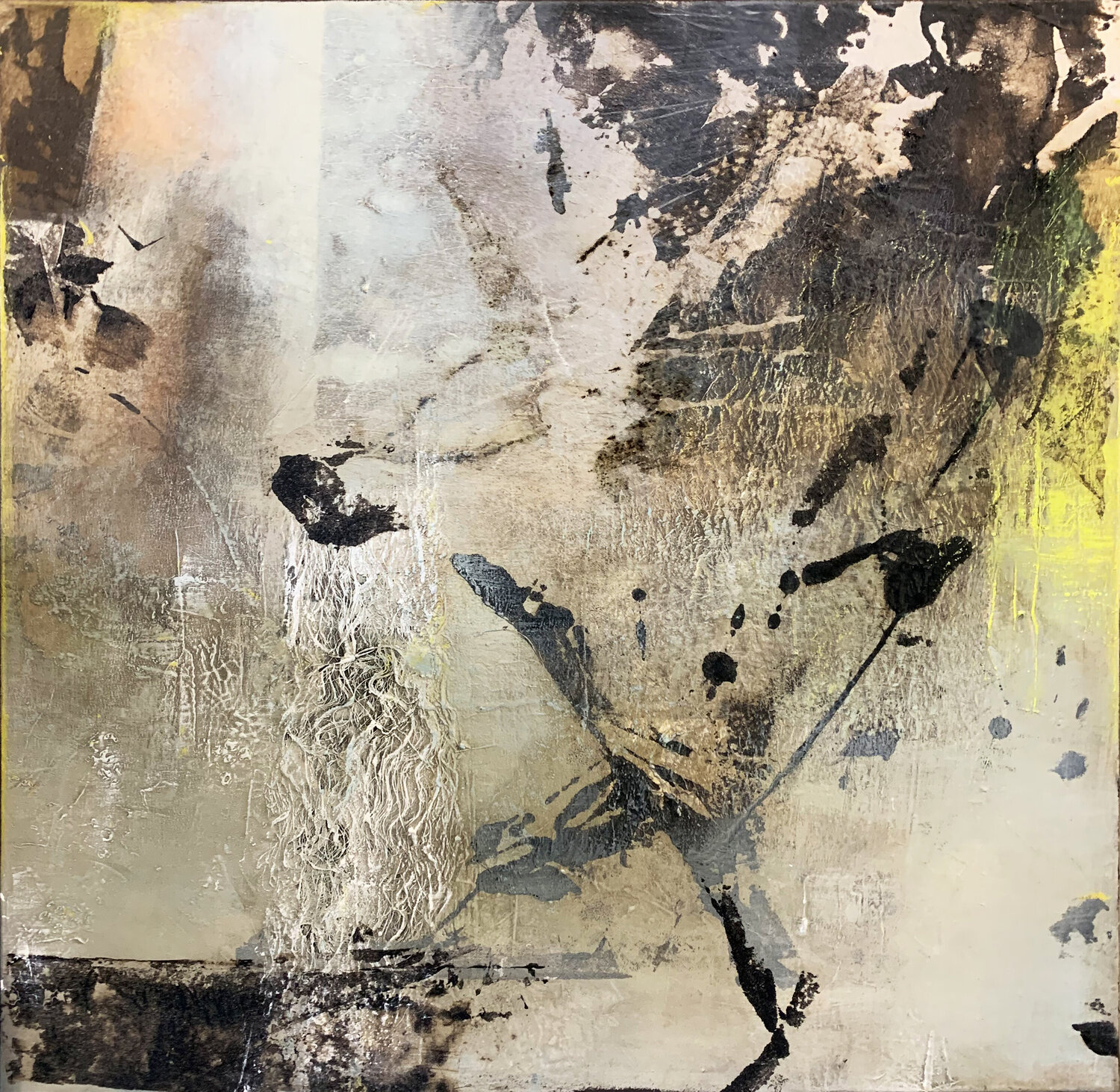 Early Bird Carole Kohler