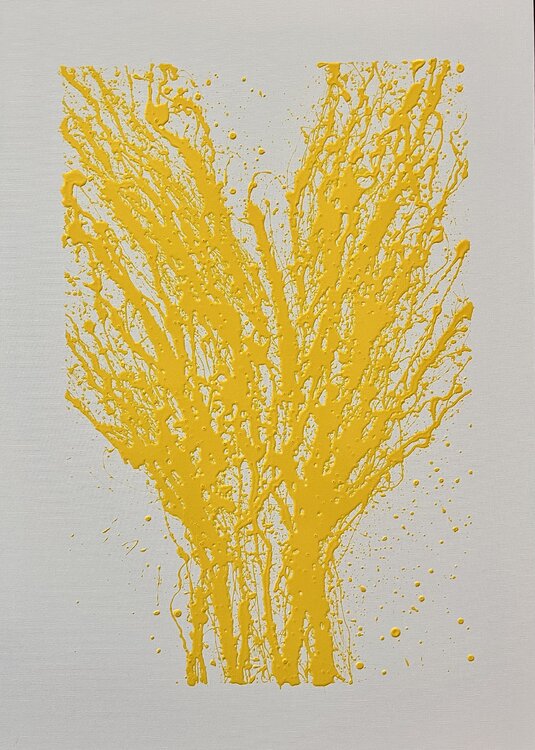 Alba Gregorio Codagnone