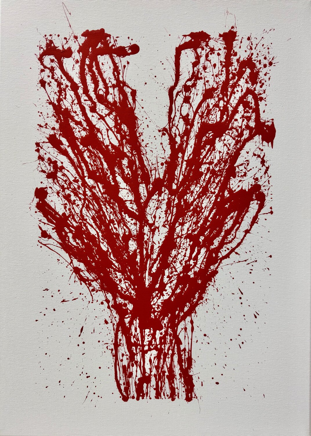 Corallo, rosso semaforo Gregorio Codagnone