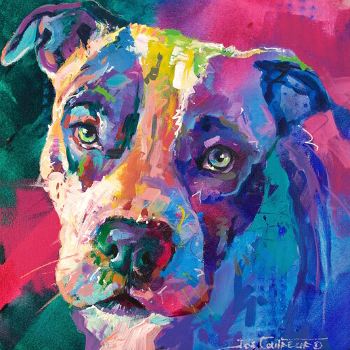 American Staffordshire Terrier by Jos Coufreur, Painting for Sale on Singulart
