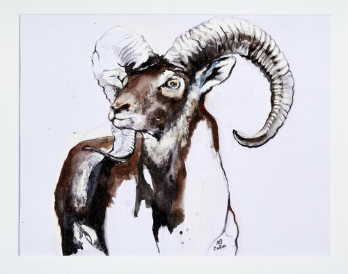 Mufflon von Benno Noll, Werk auf Papier kaufen auf Singulart