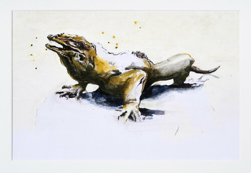 Nashornleguan by Benno Noll, 종이 for Sale on Singulart