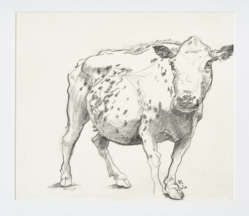 Fjellrind by Benno Noll, 소묘 for Sale on Singulart